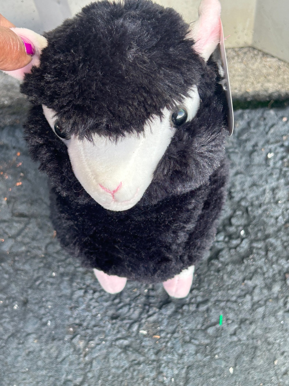 Kellytoy Black Plush Llama with saddle NWT